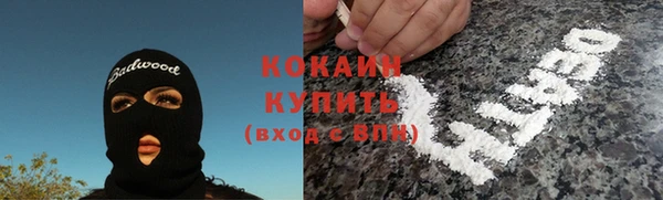 амф Алексин