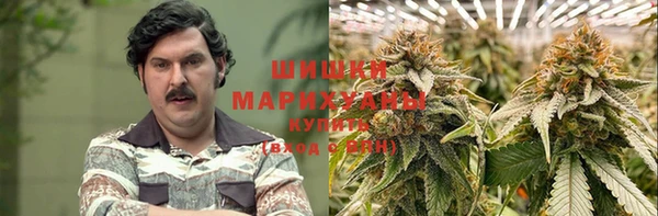 амф Алексин