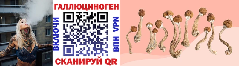 Псилоцибиновые грибы Magic Shrooms  Борзя 