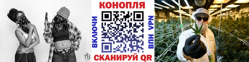 закладка Борзя Бошки марихуана семена